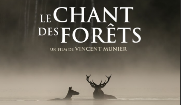 Un chant à plusieurs voix